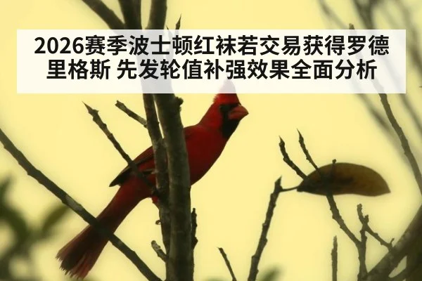 2026赛季波士顿红袜若交易获得罗德里格斯 先发轮值补强效果全面分析 - kaiyun