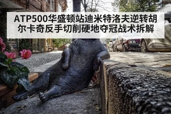 ATP500华盛顿站迪米特洛夫逆转胡尔卡奇反手切削硬地夺冠战术拆解 - kaiyun